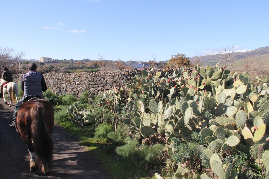 Agriturismo Borgo San Nicolao رانداتسو المظهر الخارجي الصورة